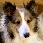 �����F����