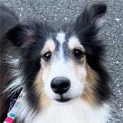 �����F�G�[��