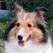 �����F�i�b�c